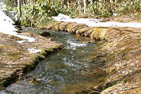 水神宮の横を流れる小川