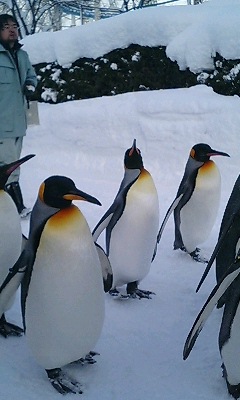 060211_1504~0001.jpgのサムネール画像