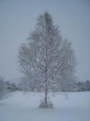 img_1811-1.jpgのサムネール画像