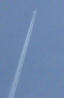 m IMG_1822.jpgのサムネール画像のサムネール画像