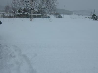 200.jpgのサムネール画像のサムネール画像