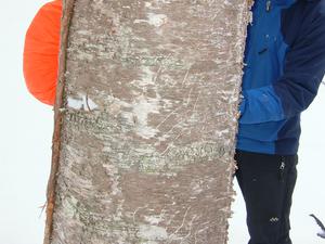 216.jpgのサムネール画像