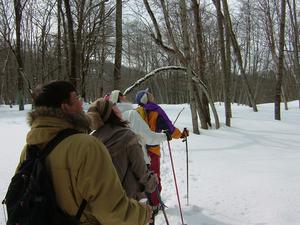 251.jpgのサムネール画像