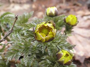 hukujyso.JPGのサムネール画像