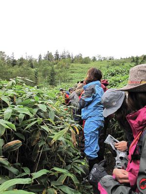 9_18_19sandanyama (135).JPG