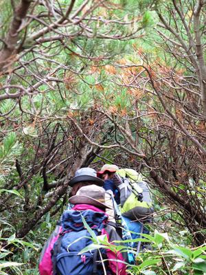 9_18_19sandanyama (151).JPG