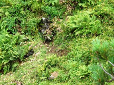 9_18_19sandanyama (158).JPG