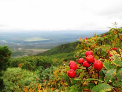 9_18_19sandanyama (163).JPG