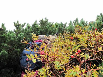 9_18_19sandanyama (174).JPG