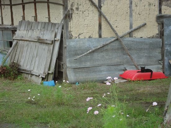 DSC00057.JPGのサムネール画像