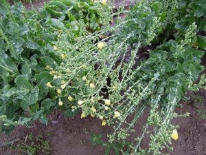 DSCN0024.JPGのサムネール画像