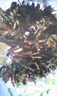 111021_0800~01.jpgのサムネール画像