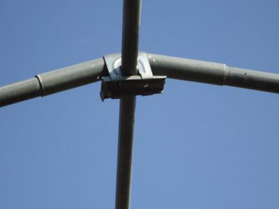 DSC00287.JPGのサムネール画像