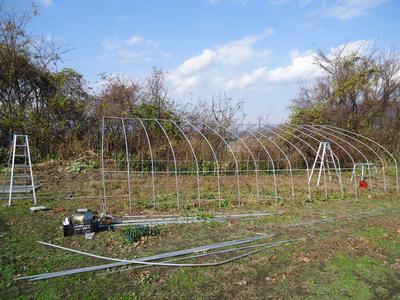 DSC00289.JPGのサムネール画像