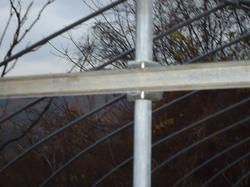 DSC00449.JPGのサムネール画像