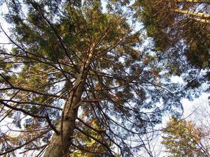 DSCN3148.JPGのサムネール画像