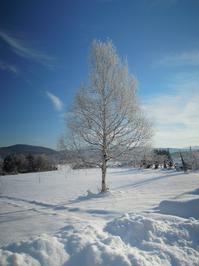 DSCN3565.JPGのサムネール画像