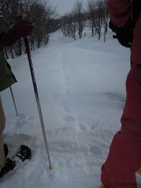 DSCN3670.JPGのサムネール画像