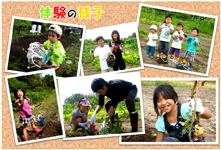 じゃがいも収穫体験06