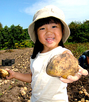 じゃがいも収穫体験3