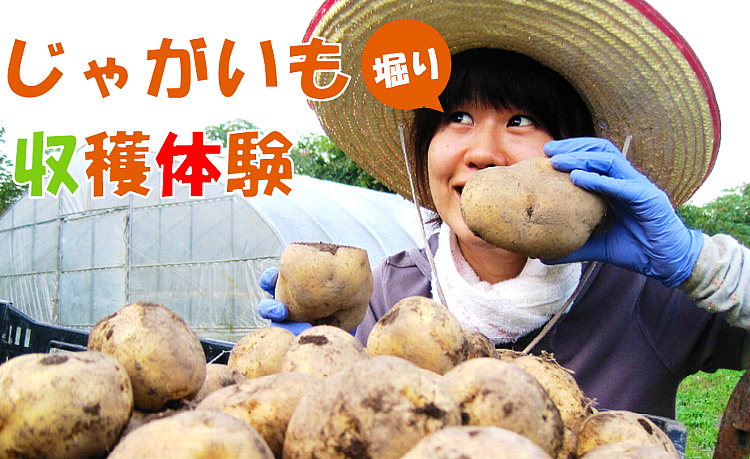 じゃがいも収穫体験02